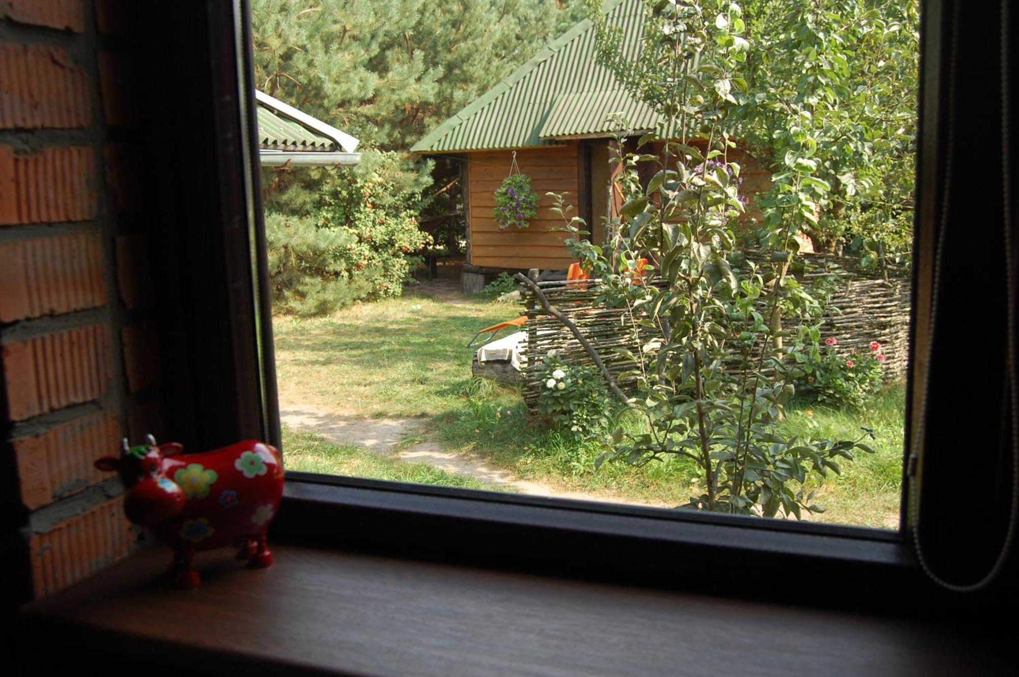 Ferienwohnung Zelenyi Rai Switjas Zimmer foto
